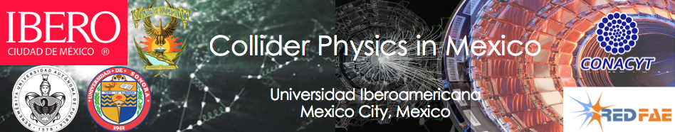  Collider Physics in Mexico