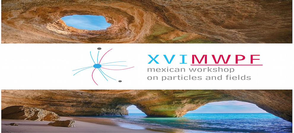 XVI Mexican Workshop on Particles and Fields